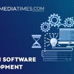 custom software development