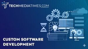 custom software development