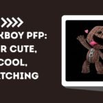 Sackboy PFP