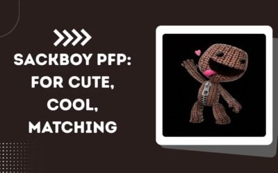 Sackboy PFP