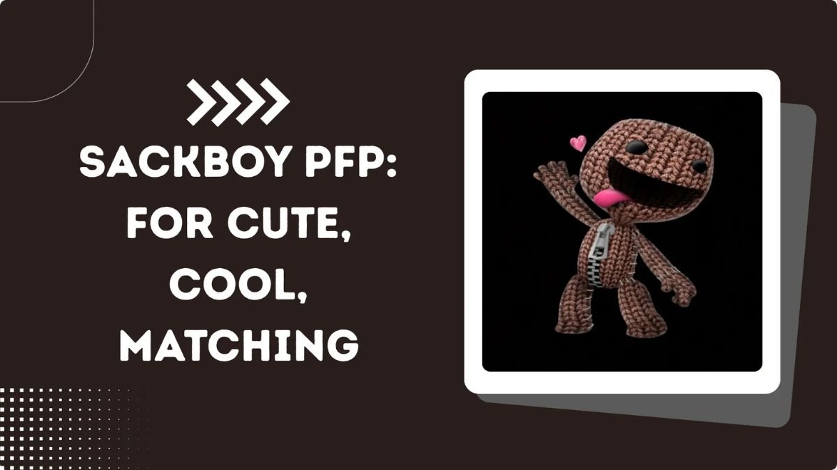 Sackboy PFP